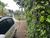 Terreno, 1 hectares - Foto 3