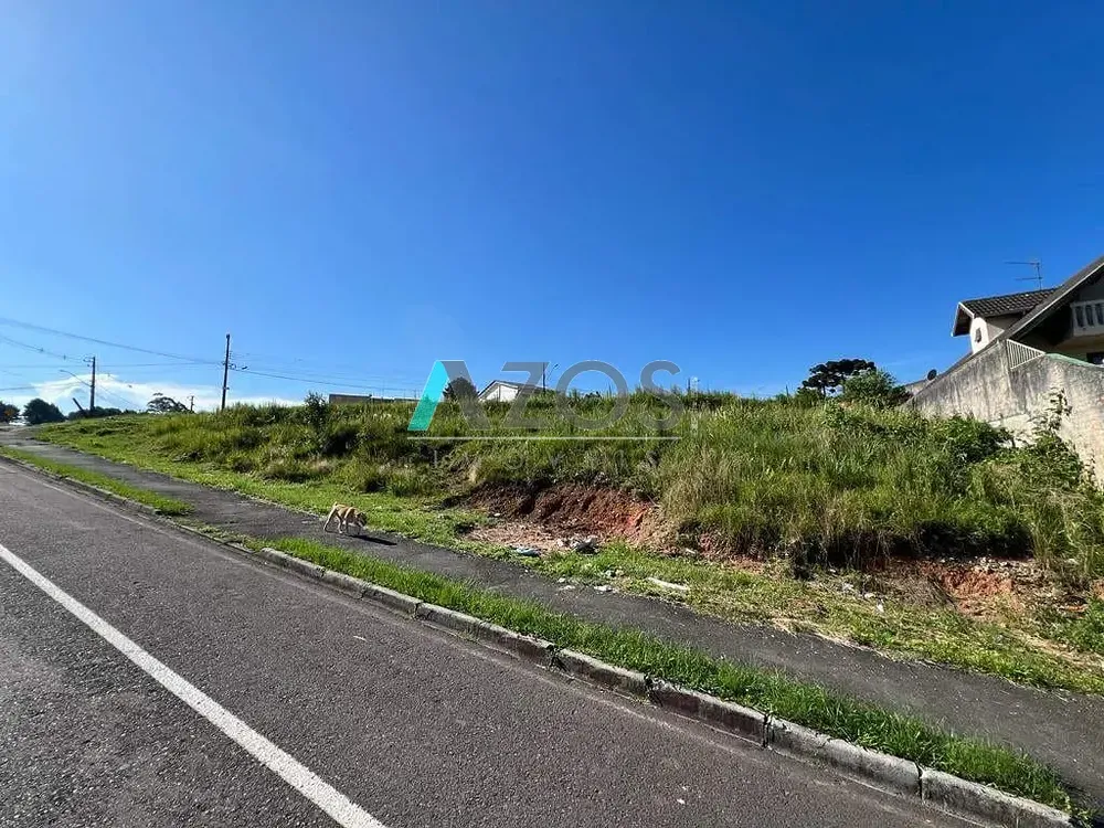 Terreno, 290 m² - Foto 6