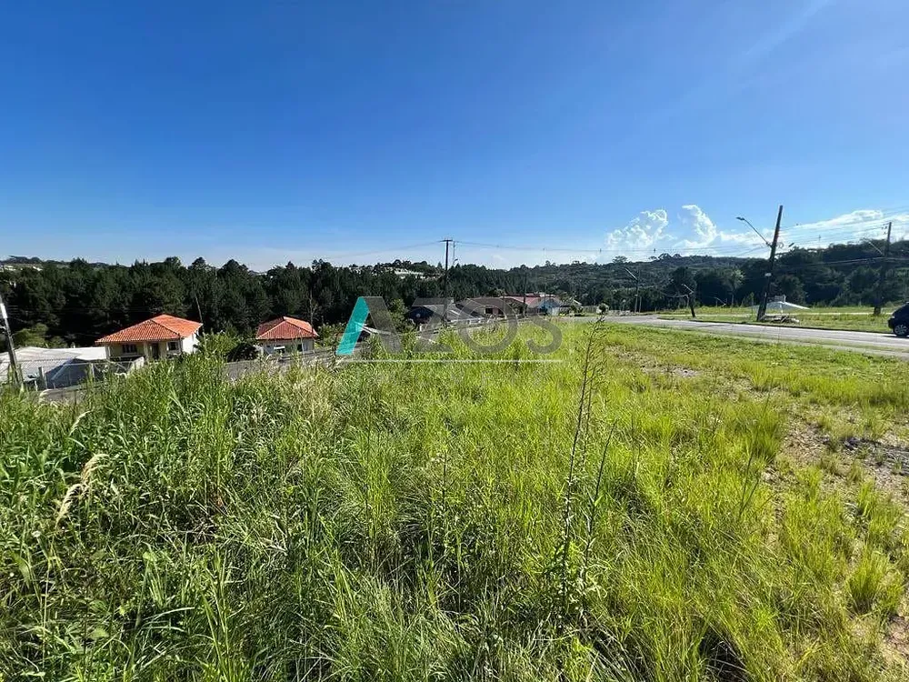 Terreno, 290 m² - Foto 5