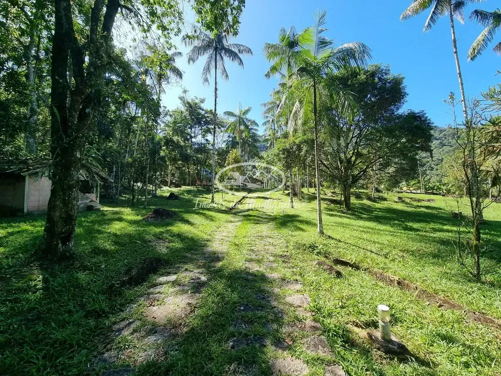 Chácara, 3 quartos, 2 hectares - Foto 76