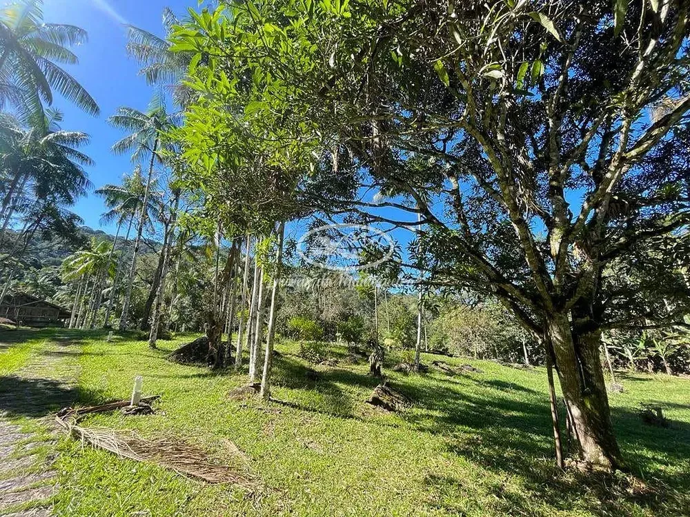 Chácara, 3 quartos, 2 hectares - Foto 17