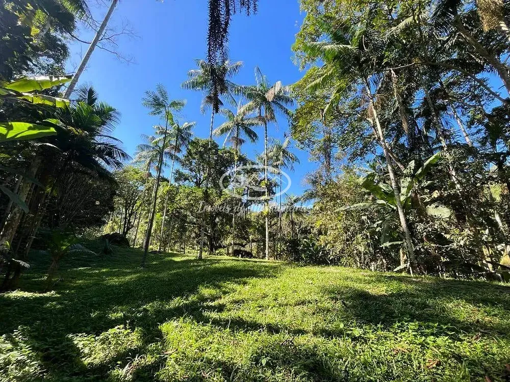 Chácara, 3 quartos, 2 hectares - Foto 20