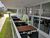 Casa, 4 quartos, 250 m² - Foto 4