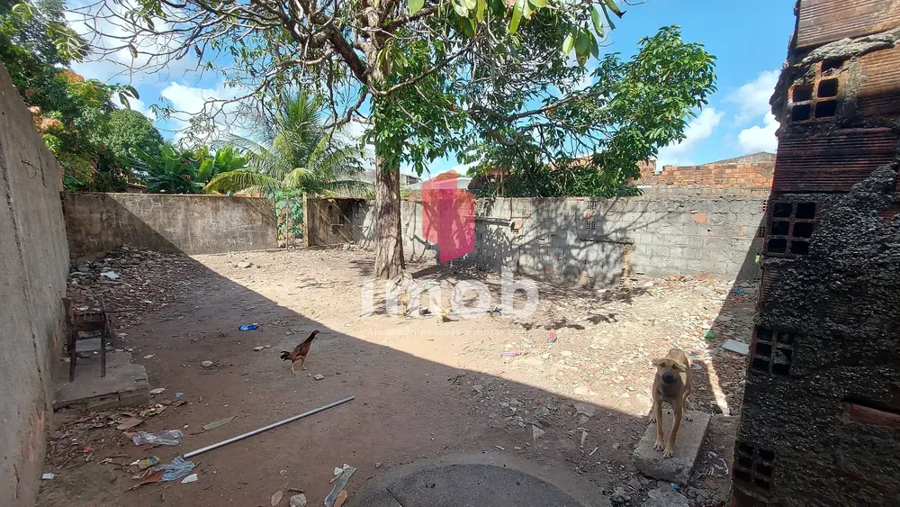 Casa, 2 quartos, 10 m² - Foto 3