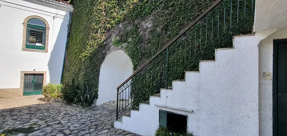 Casa, 7 quartos, 388 m² - Foto 127