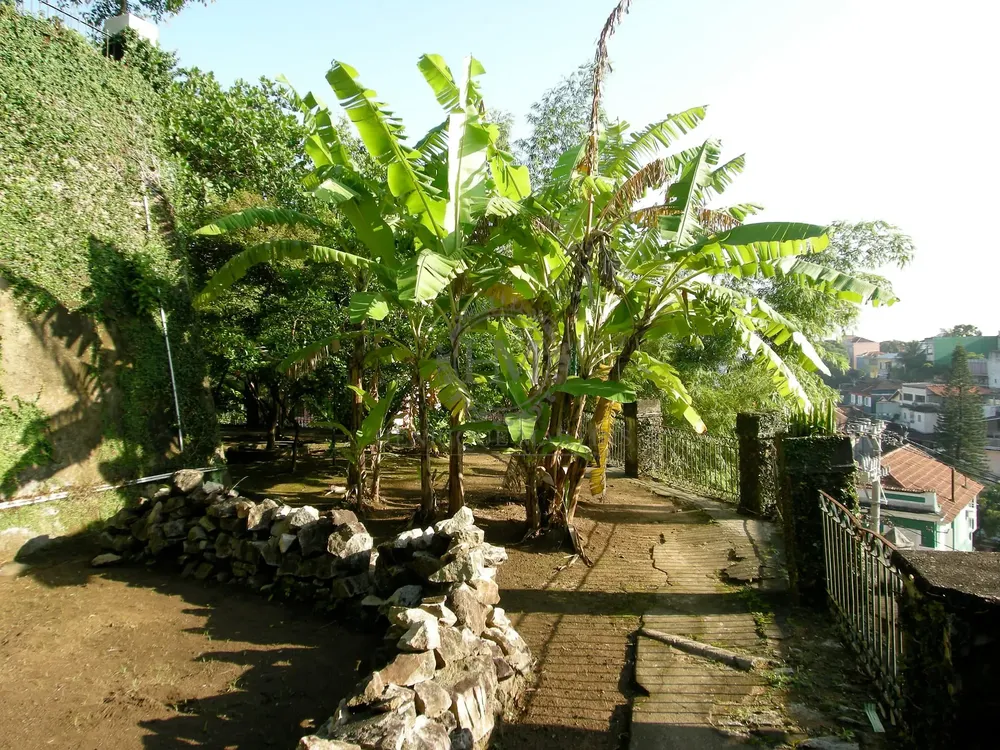 Casa, 7 quartos, 388 m² - Foto 34