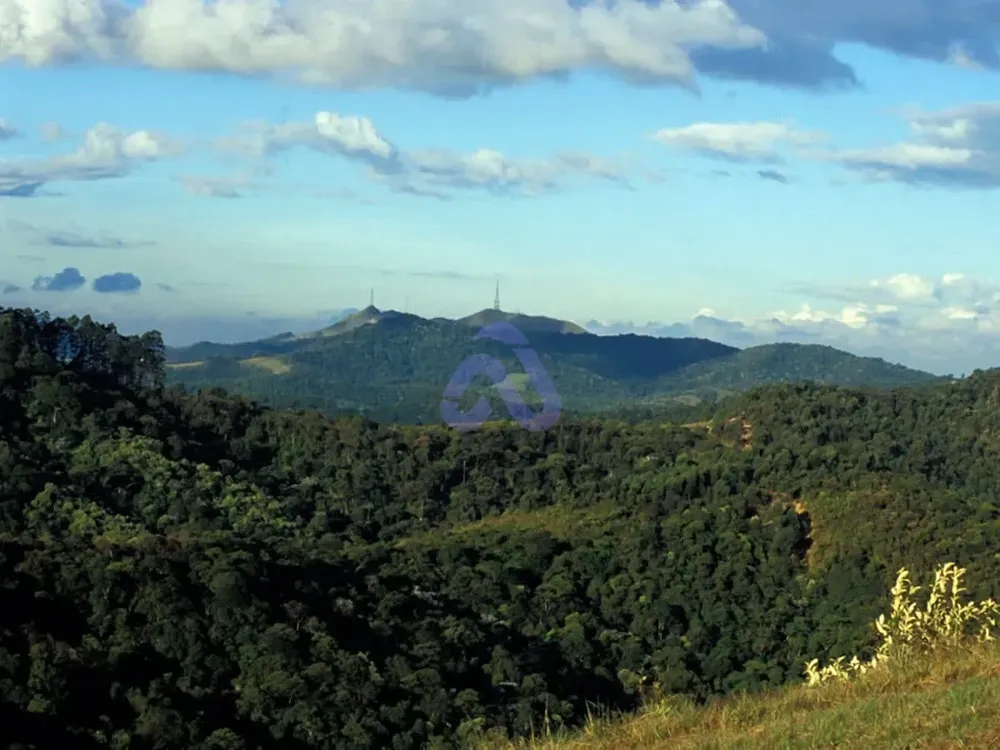 Terreno, 500 m² - Foto 8