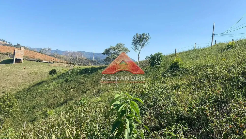 Terreno, 1200 m² - Foto 6