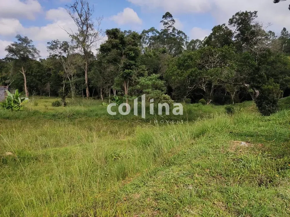 Terreno, 4200 m² - Foto 4