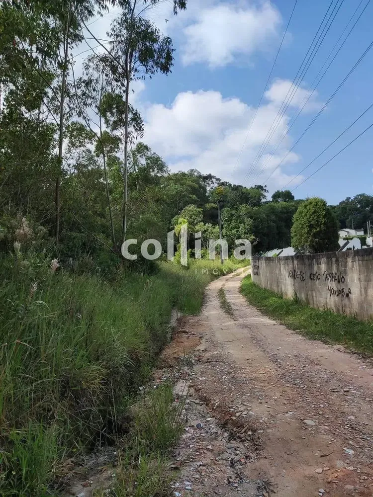 Terreno, 4200 m² - Foto 5