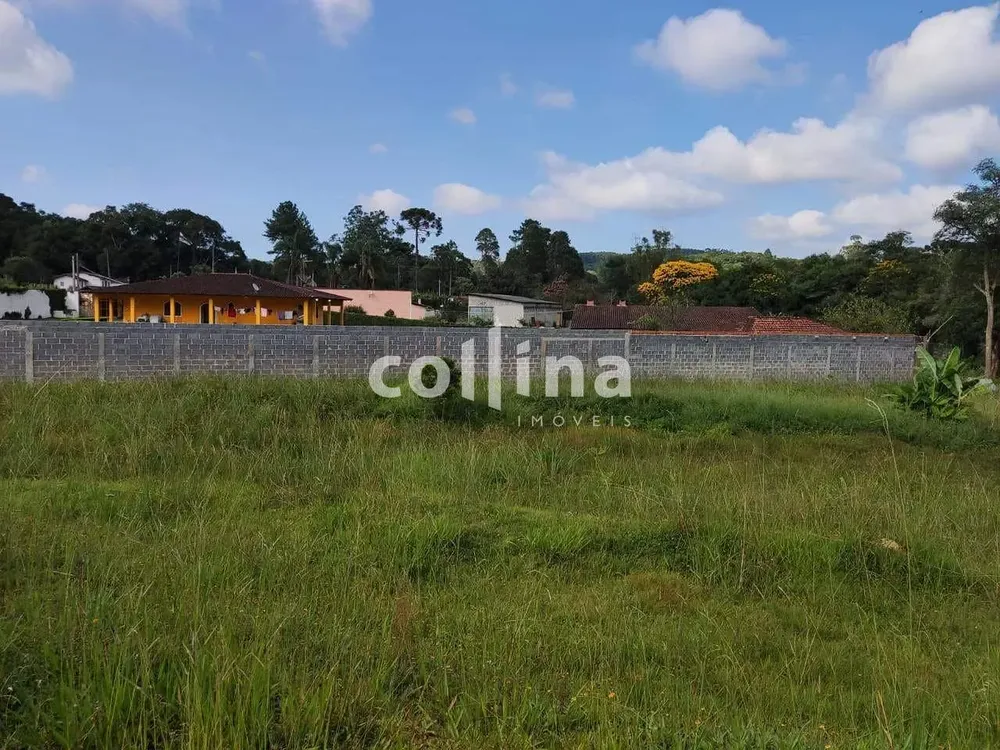 Terreno, 4200 m² - Foto 3