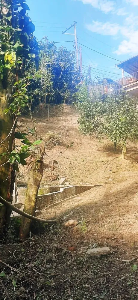 Casa, 3 quartos, 520 m² - Foto 8