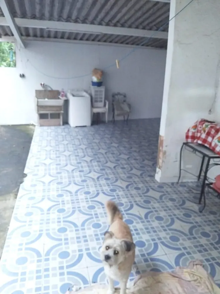 Casa, 3 quartos, 520 m² - Foto 22