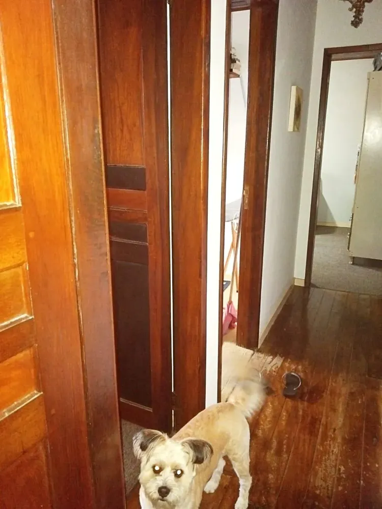 Casa, 3 quartos, 520 m² - Foto 17