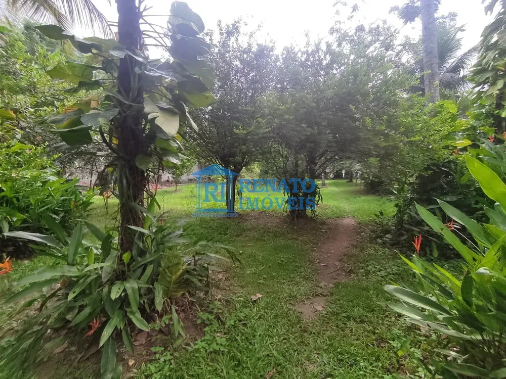 Casa, 4 quartos, 3300 m² - Foto 42