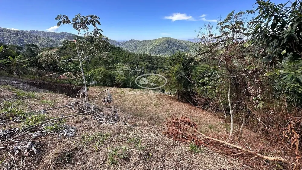 Terreno, 3725 m² - Foto 4