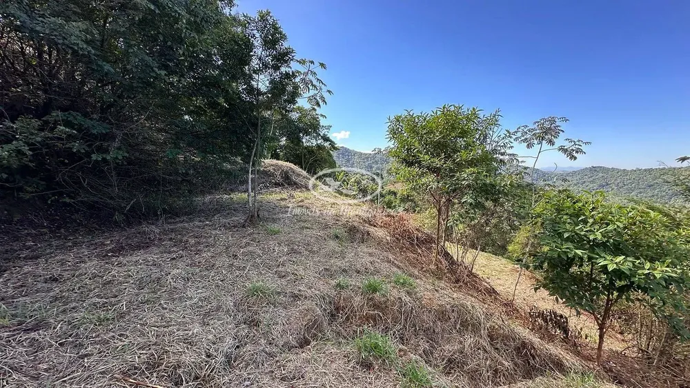Terreno, 3725 m² - Foto 8