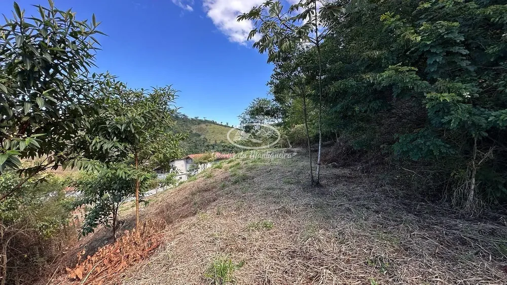Terreno, 3725 m² - Foto 3