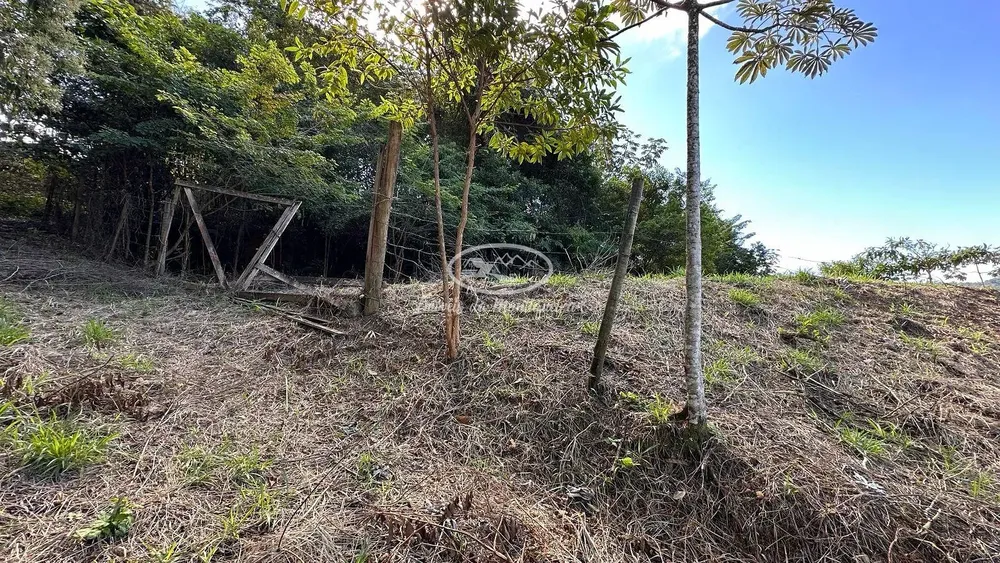 Terreno, 3725 m² - Foto 20