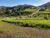 Terreno, 1265 m² - Foto 3