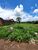 Terreno, 1114 m² - Foto 4