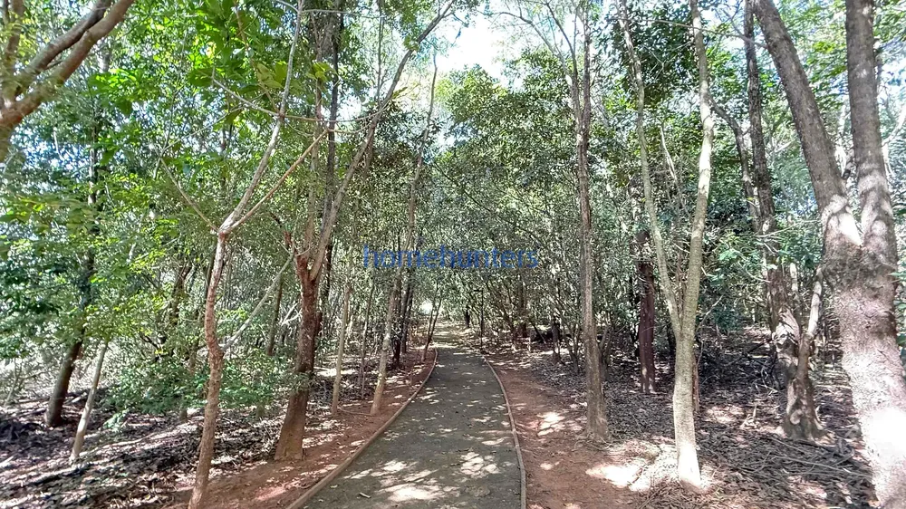 Terreno, 1066 m² - Foto 4