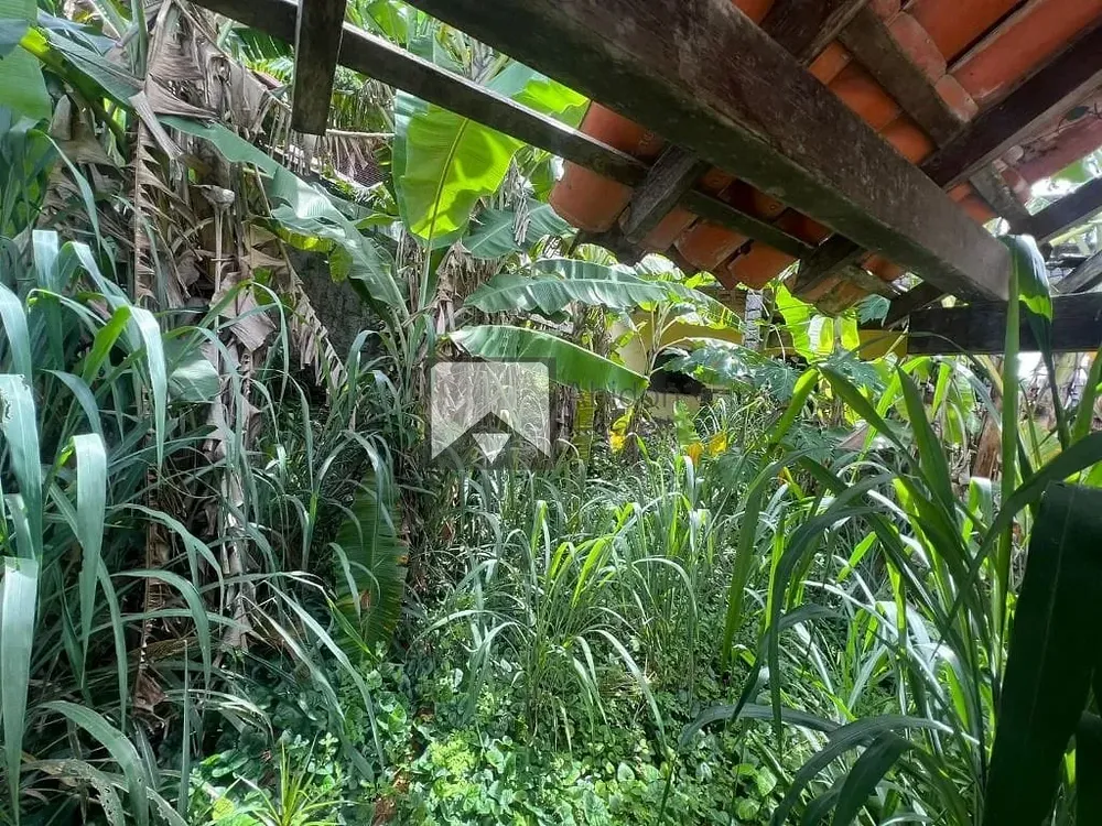 Casa, 4 quartos, 300 m² - Foto 7
