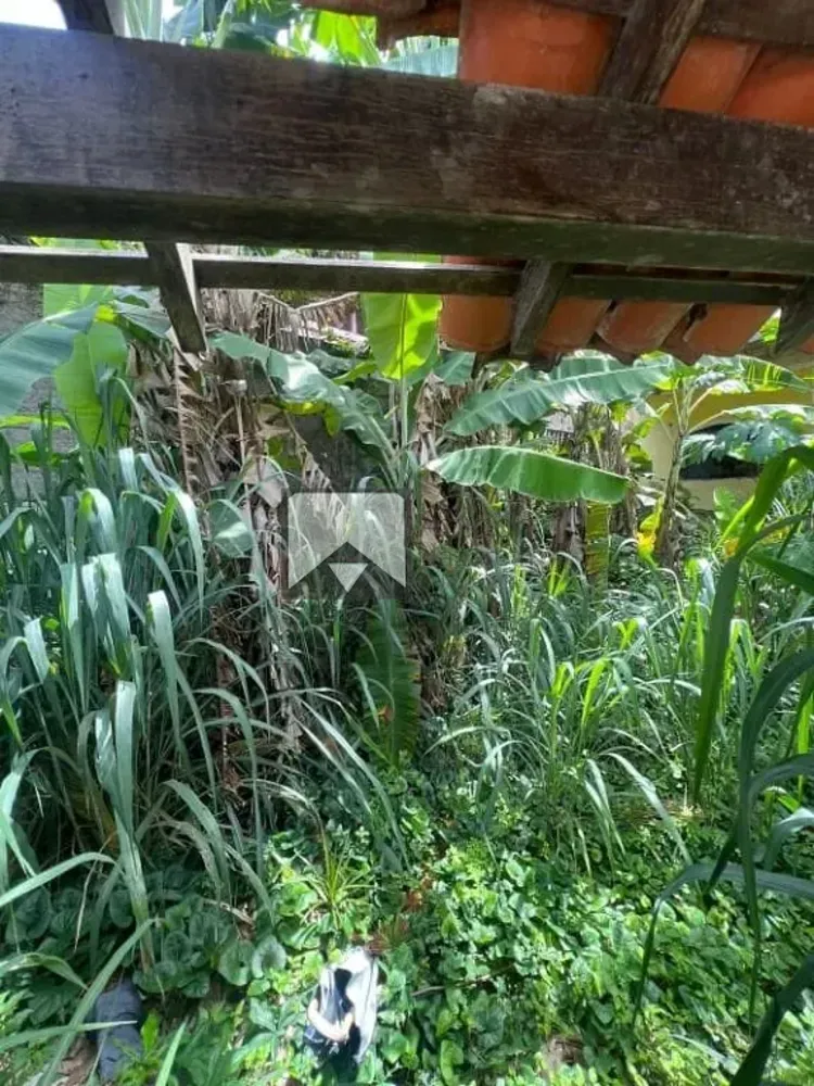 Casa, 4 quartos, 300 m² - Foto 13