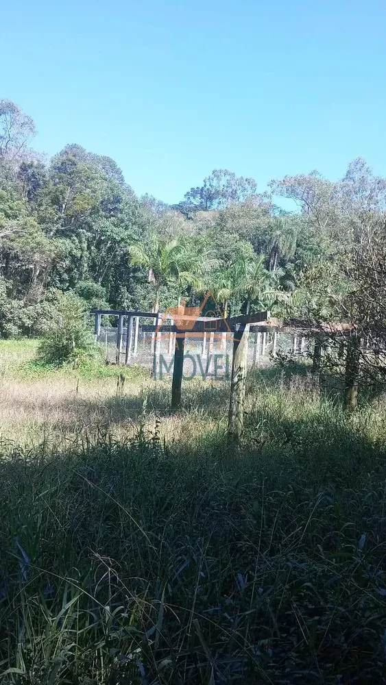 Chácara, 4 quartos, 10 m² - Foto 5
