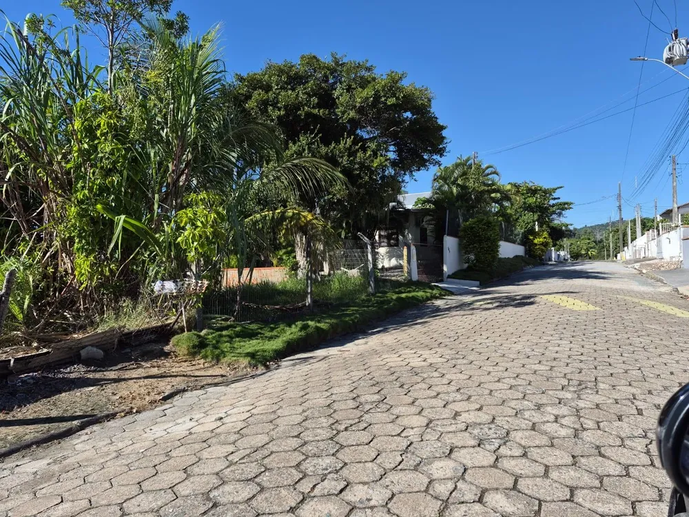 Terreno, 300 m² - Foto 3