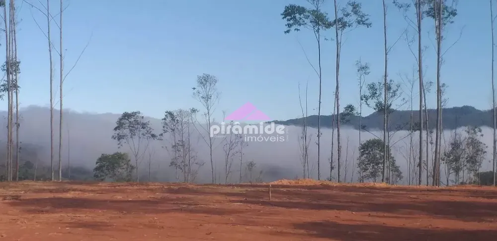 Terreno, 4 hectares - Foto 3