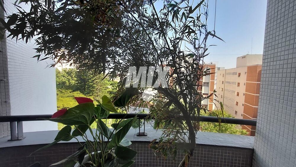 Apartamento, 3 quartos, 75 m² - Foto 2