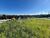 Terreno, 290 m² - Foto 1
