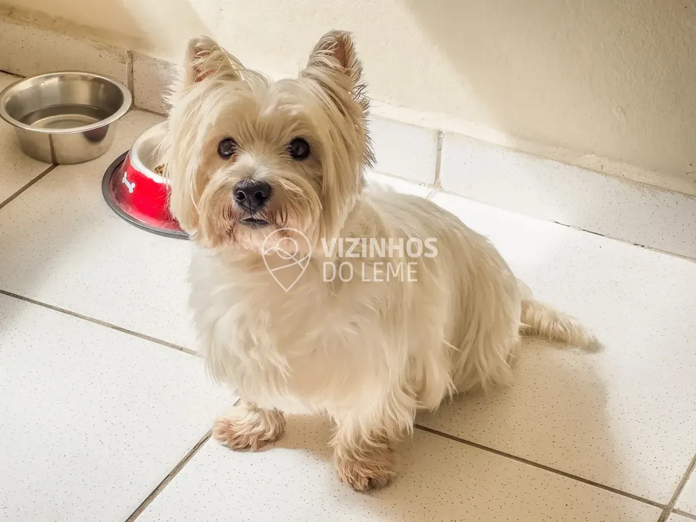 Apartamento, 1 quarto, 32 m² - Foto 18
