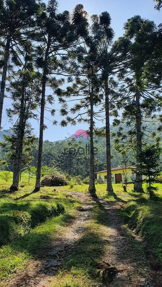 Terreno, 404 hectares - Foto 4