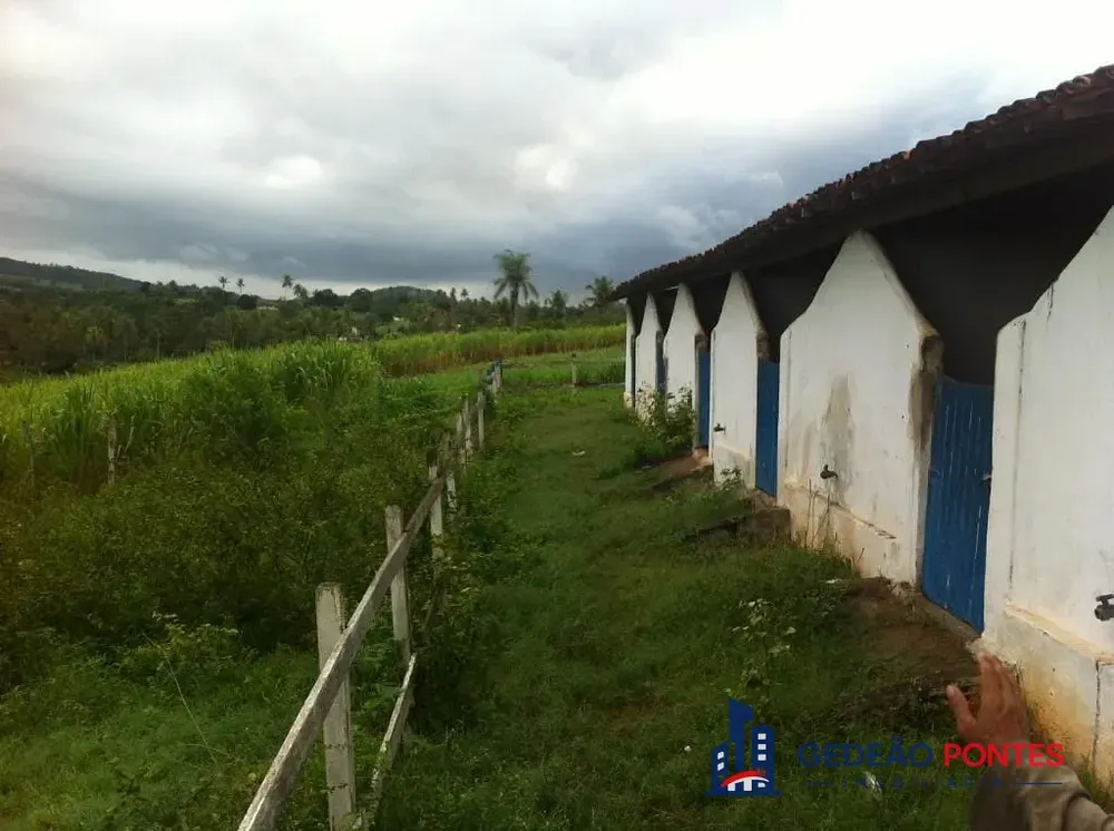 Terreno, 5 hectares - Foto 1