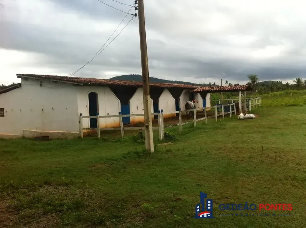 Terreno, 5 hectares - Foto 2
