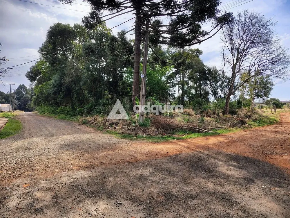 Terreno, 3026 m² - Foto 1