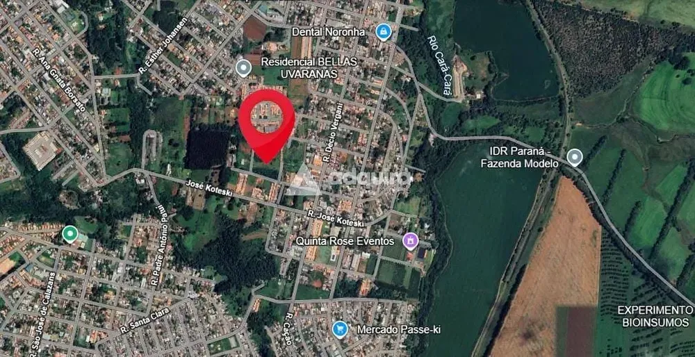Terreno, 3026 m² - Foto 4