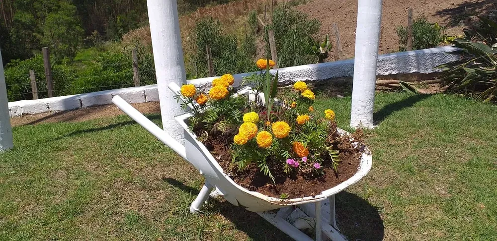 Chácara, 3 quartos, 1 hectares - Foto 4