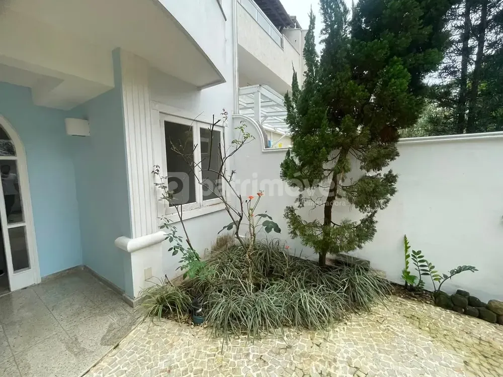 Casa, 4 quartos, 250 m² - Foto 36