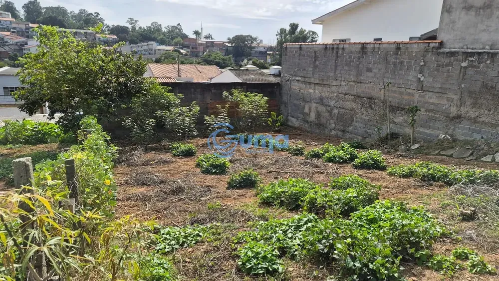 Terreno, 250 m² - Foto 3