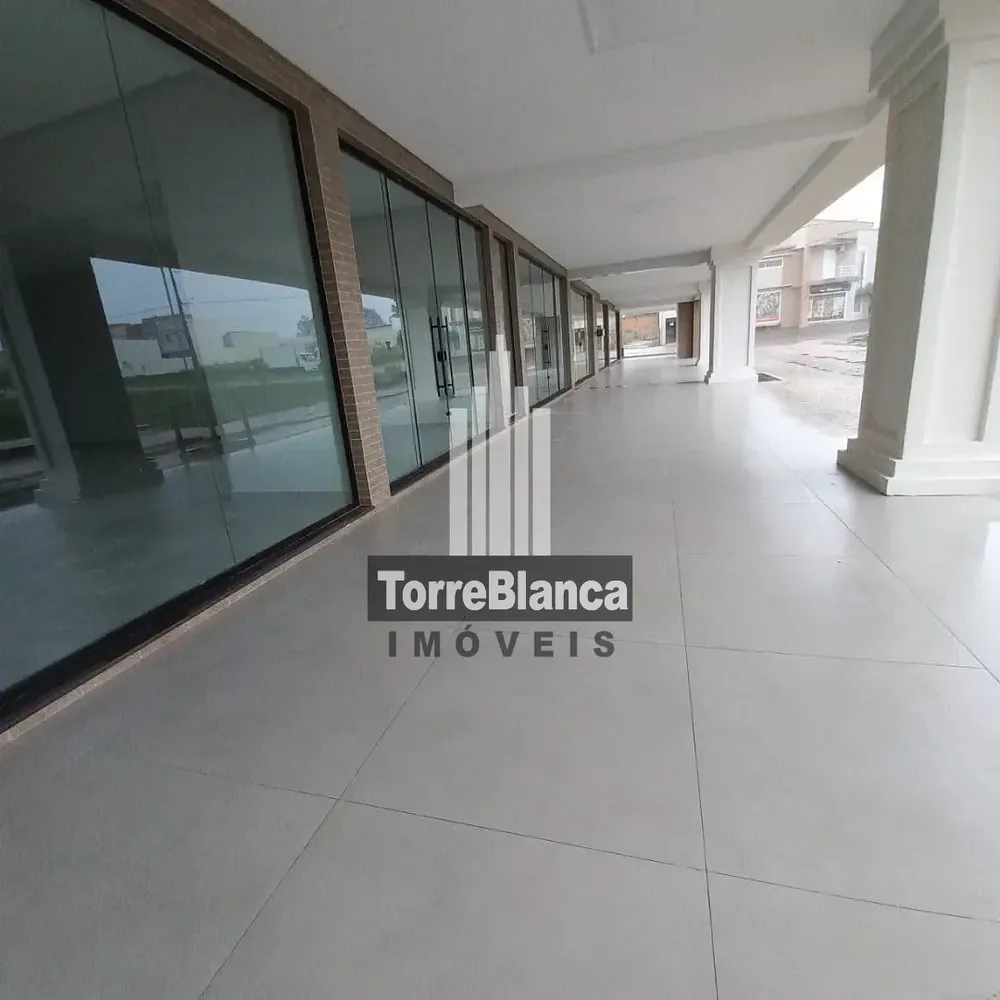 Apartamento, 3 quartos, 339 m² - Foto 3