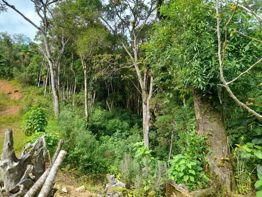 Chácara, 2 quartos, 2000 m² - Foto 2