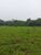 Fazenda, 940 hectares - Foto 1