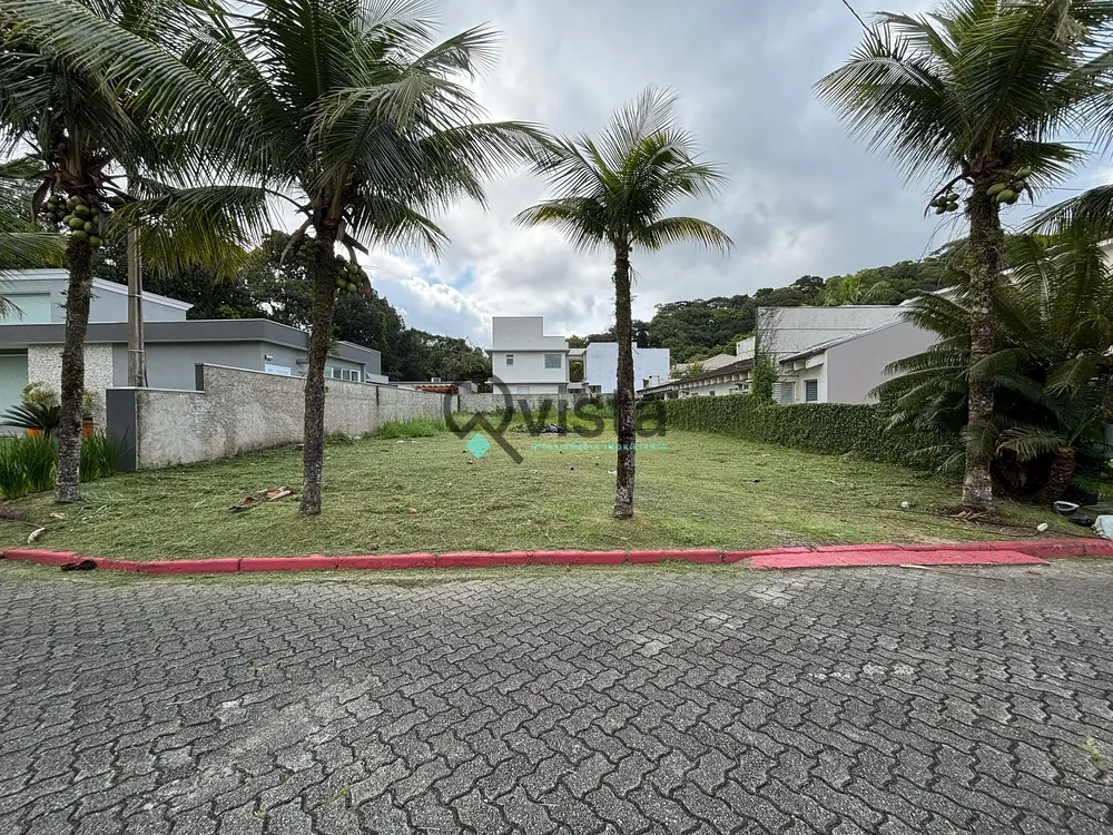 Terreno, 504 m² - Foto 3