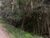 Terreno, 1 hectares - Foto 3