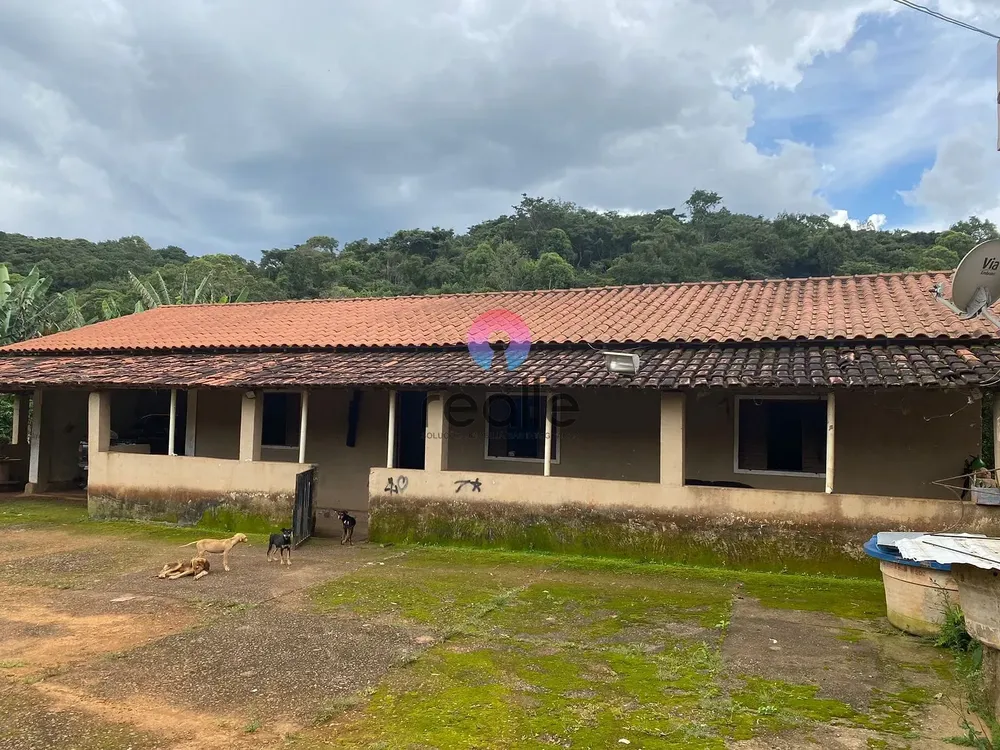 Terreno, 62 hectares - Foto 4