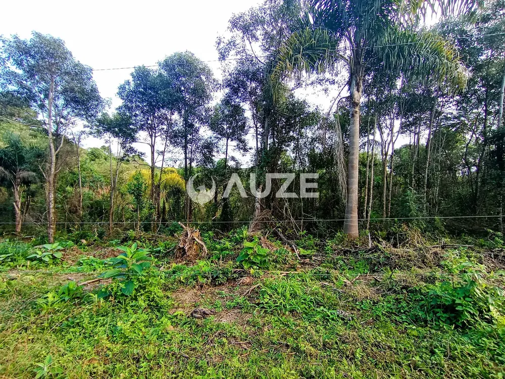 Chácara, 1 quarto, 2 hectares - Foto 7