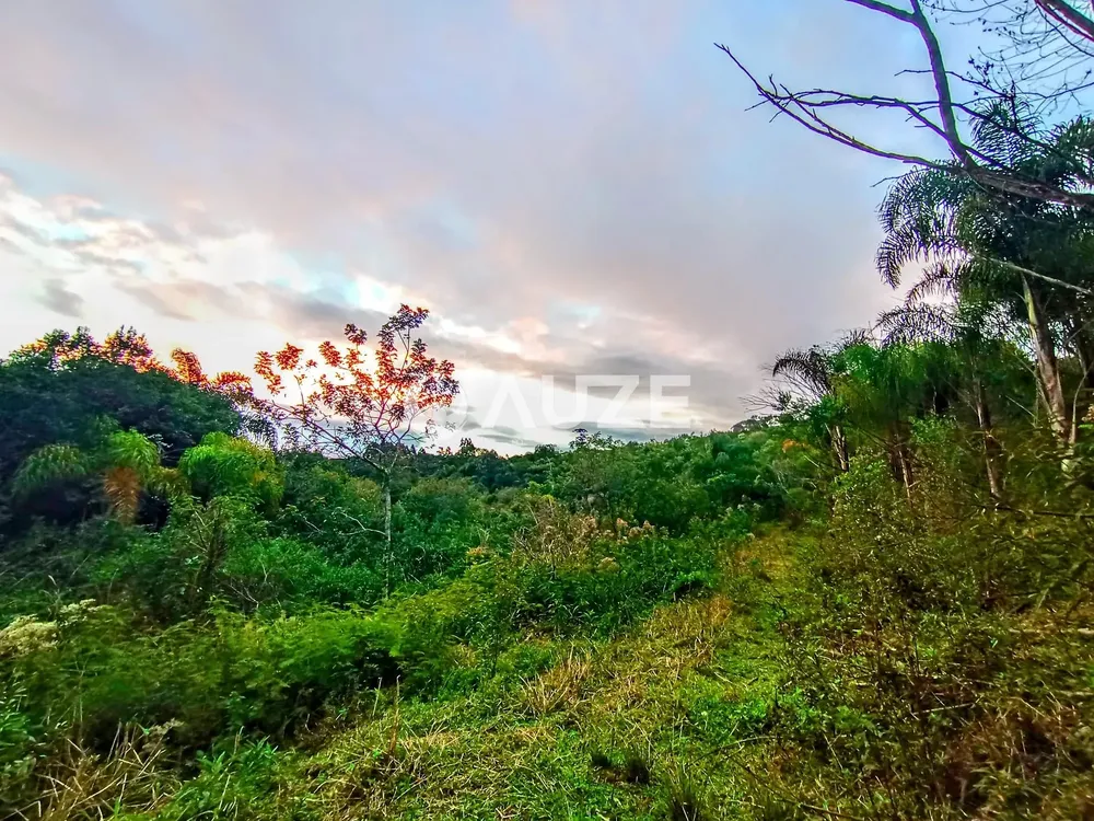 Chácara, 1 quarto, 2 hectares - Foto 4